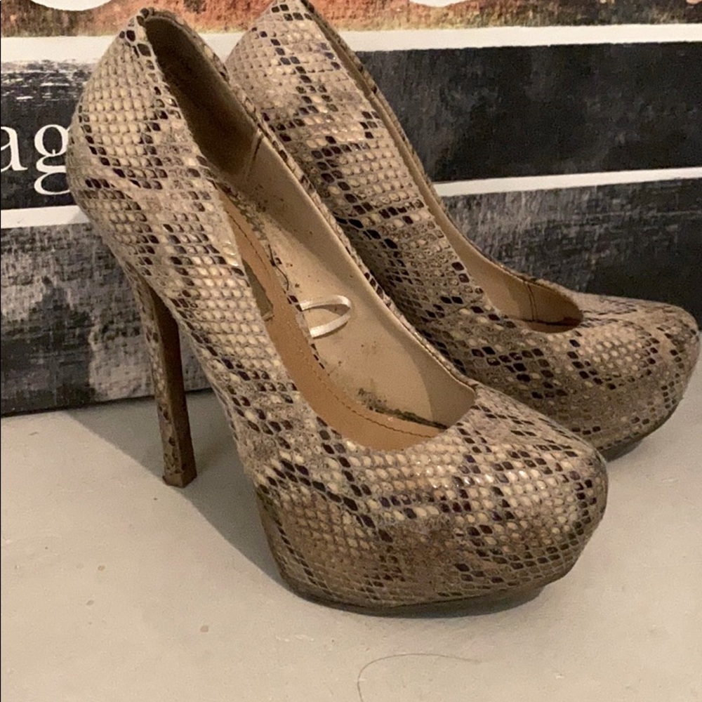 Steve Madden snake skin heels
